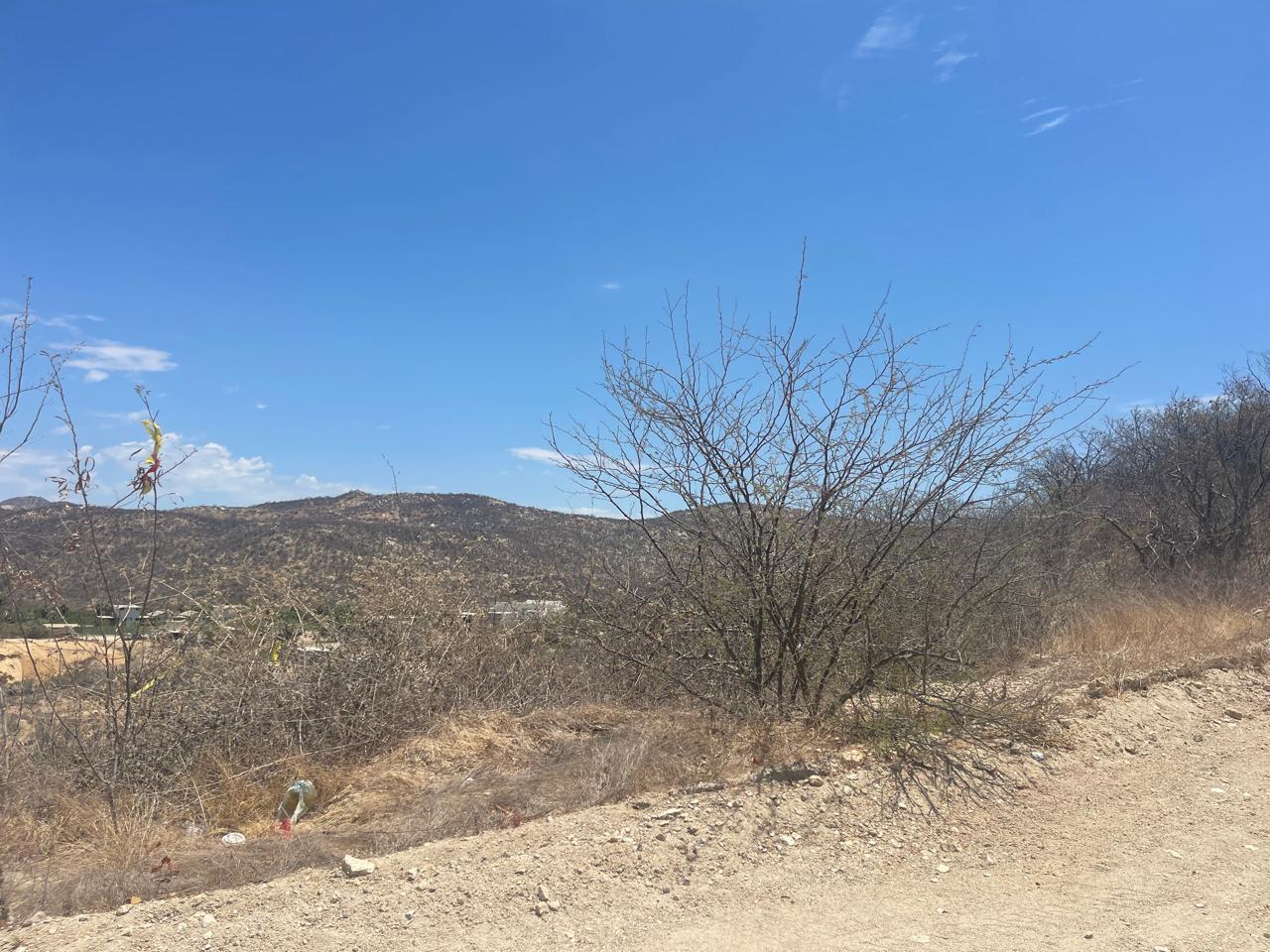 Lot in SJD Marina:General, San Jose del Cabo, photo 2