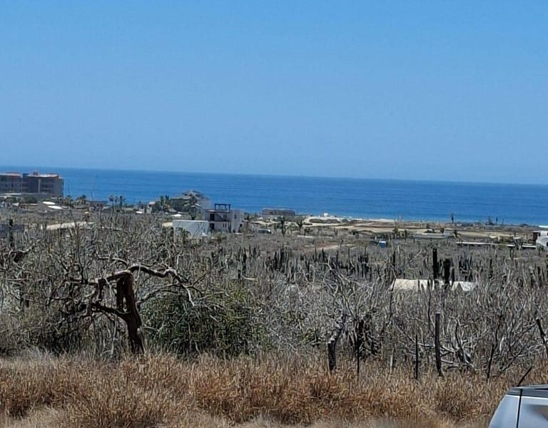Lot in Cerritos, Pacific