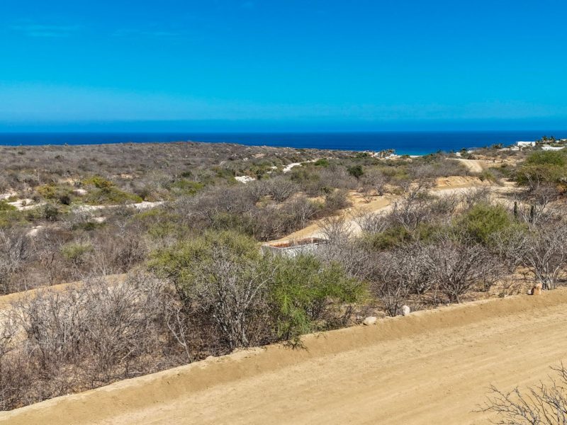 Laguna Hills, San Jose del Cabo