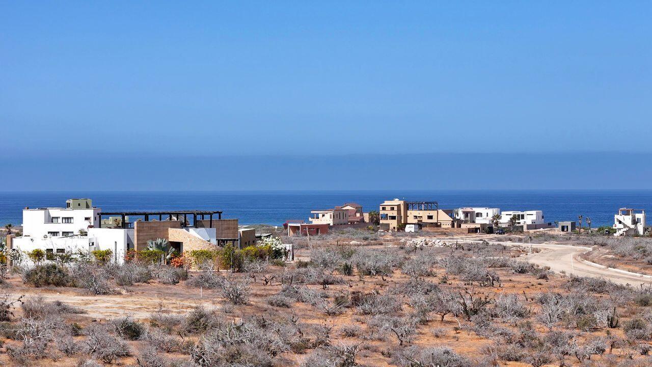 Tortuga del Sol, Cerritos, Pacific, photo 5