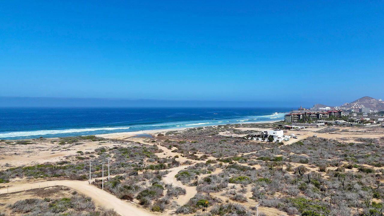 Tortuga del Sol, Cerritos, Pacific, photo 3