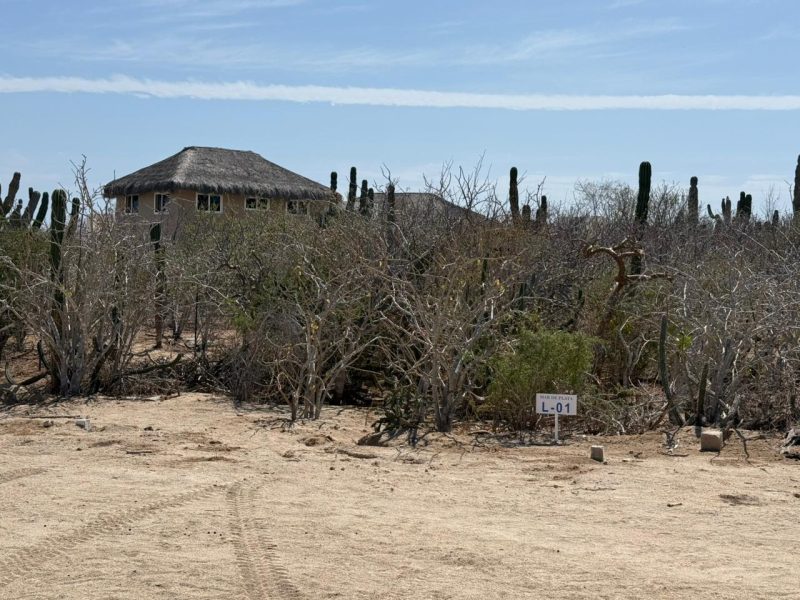 Lot in Shipwrecks, East Cape