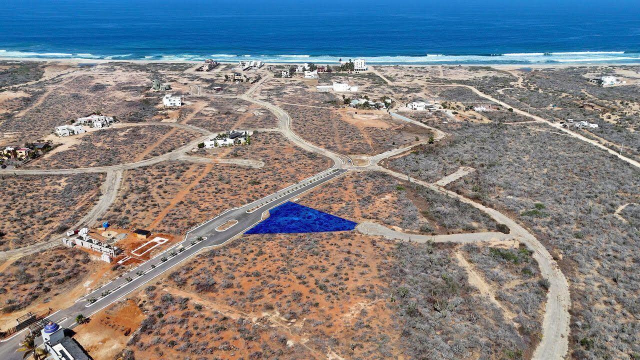 Tortuga del Sol, Cerritos, Pacific, photo 2