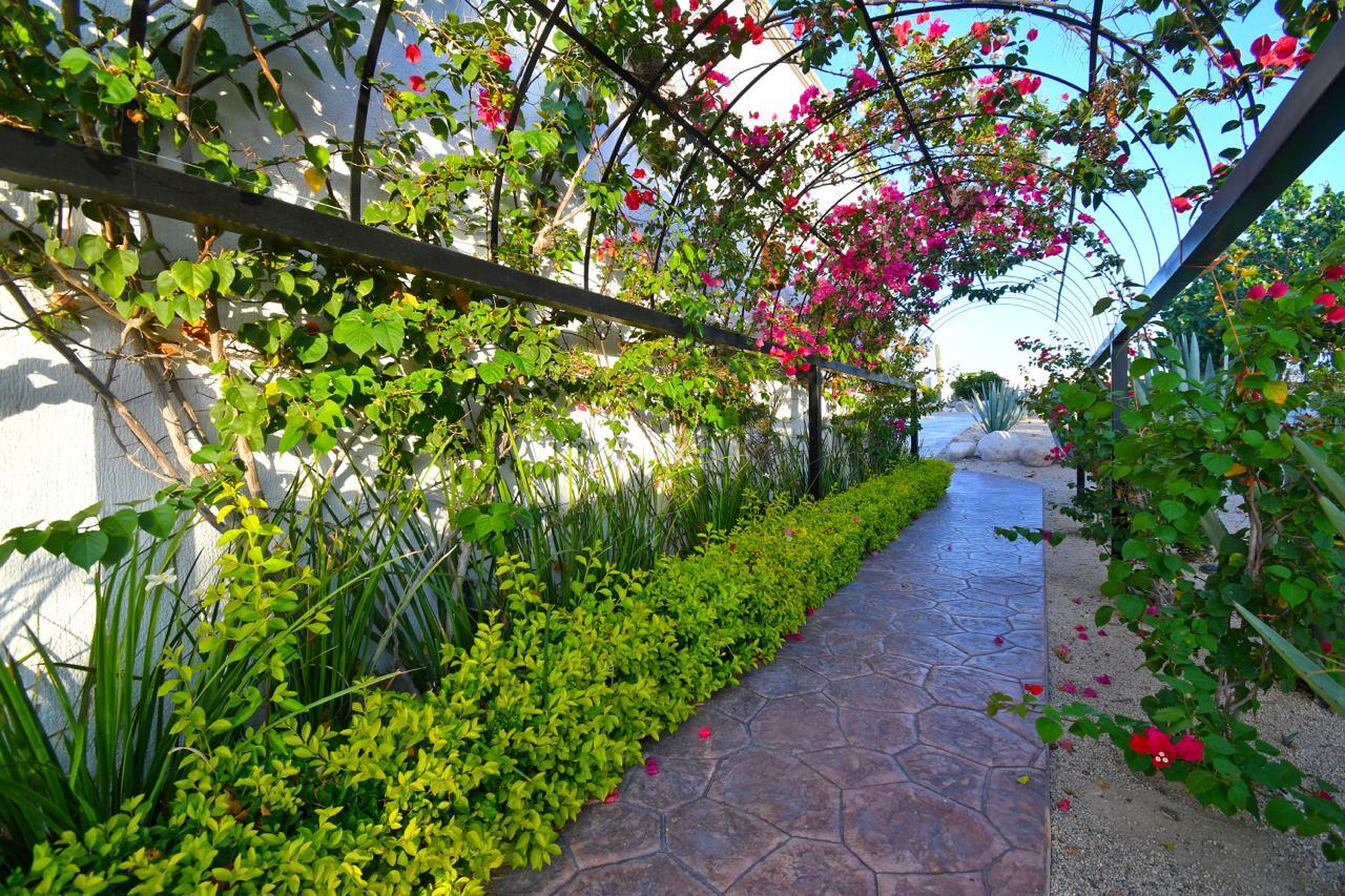 57 Vista Mar, Haciendas Palo Verde, La Paz, photo 5