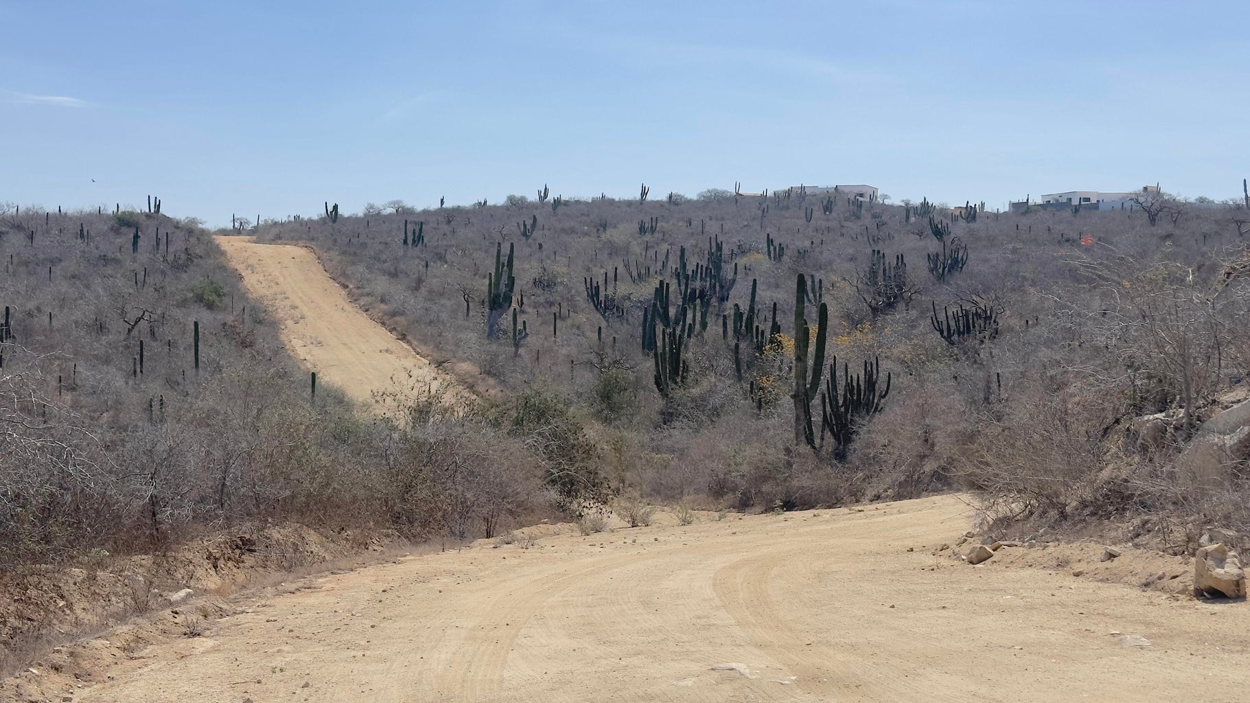 Lot # 4 Countryside Hills del Cabo, San Cristobal, Pacific, photo 3