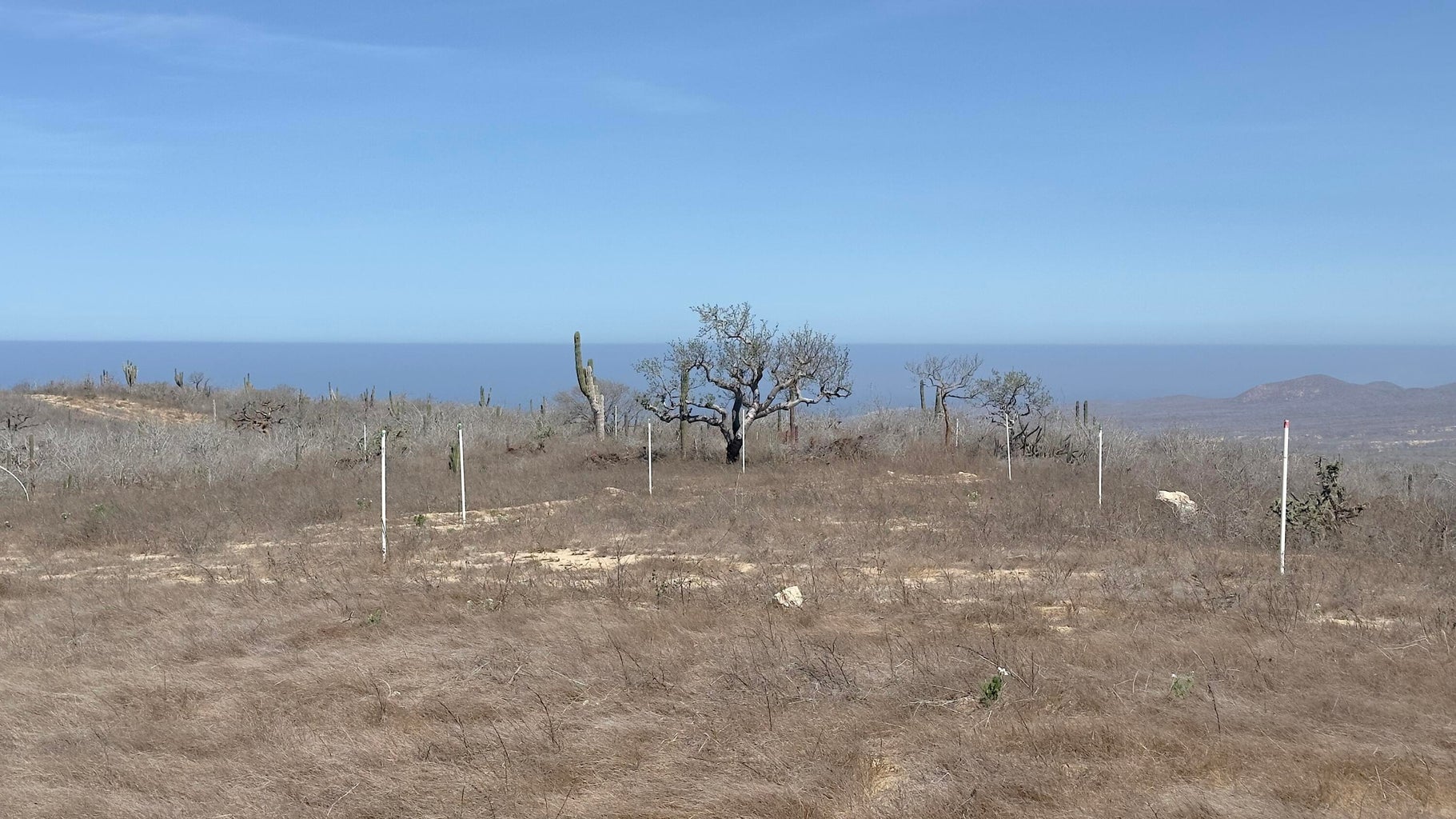 Lot # 3 Countryside Hills del Cabo, San Cristobal, Pacific, photo 4