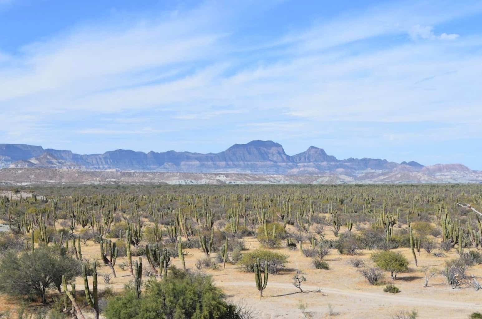 Development Land, San Juan de la Costa, La Paz, photo 5
