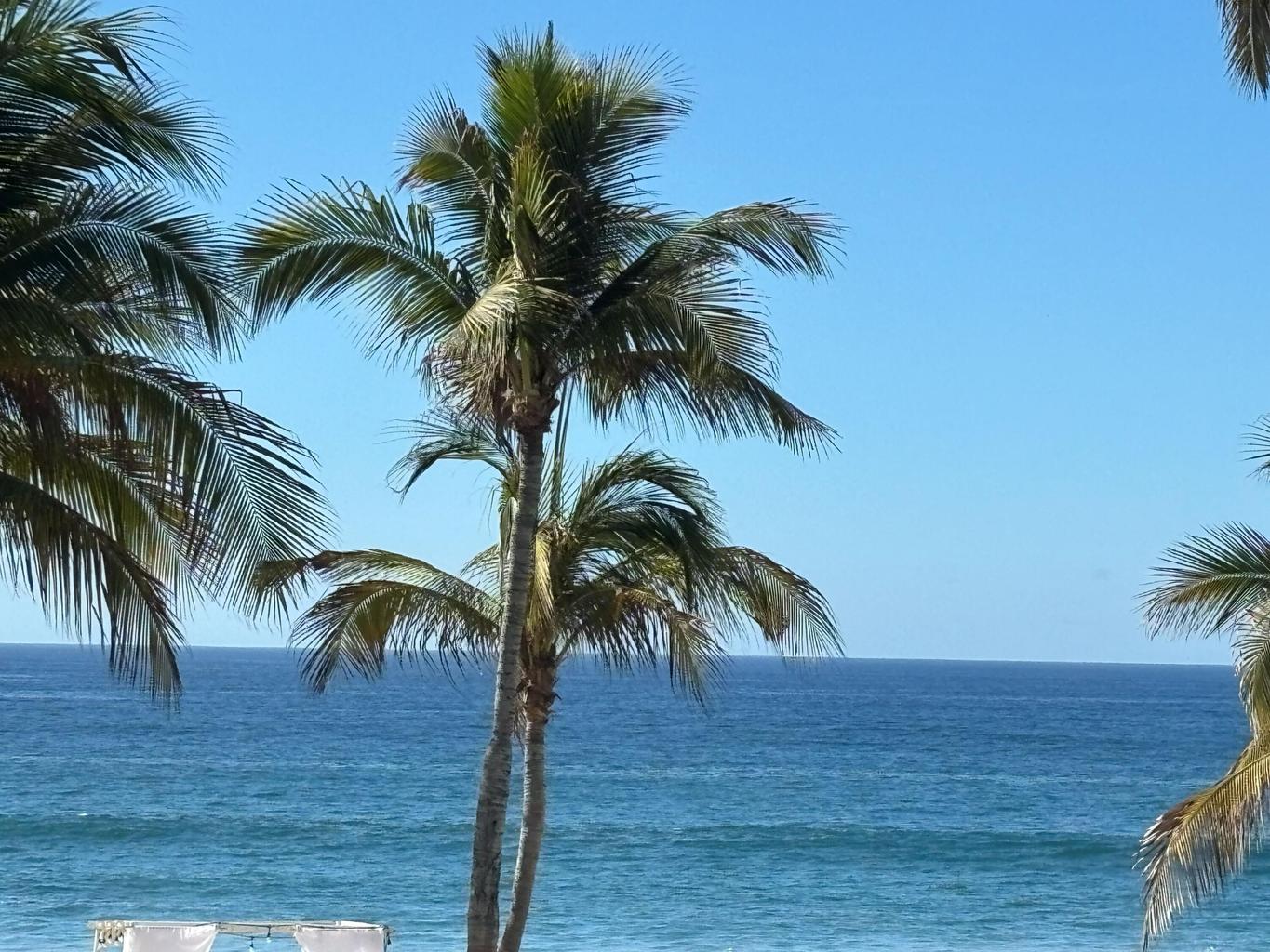 KM 29.5 PASEO LA JOLLA TOWER C 206, San Jose del Cabo, photo 2