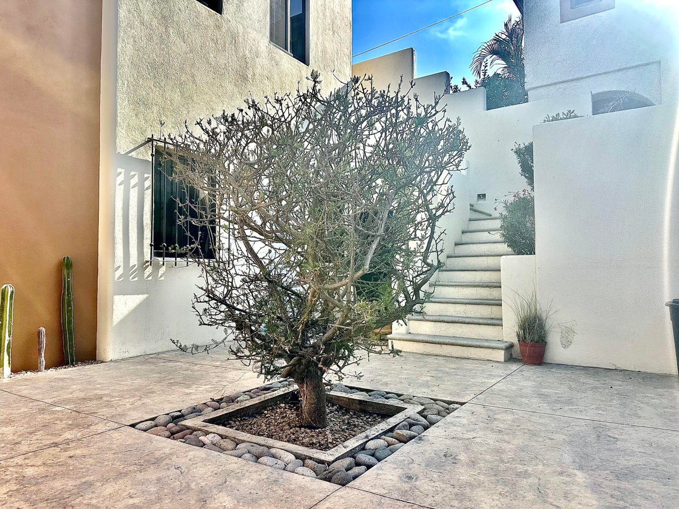 34 Mision La Purisima & San José 01, Mauricio Castro, San Jose del Cabo, photo 5