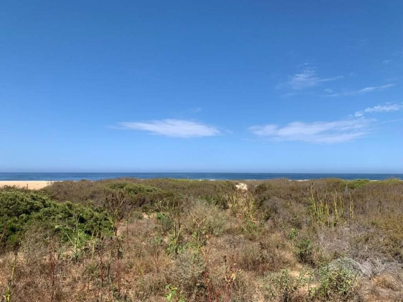 Lot 0793 BEACHFRONT, Pescadero, Pacific