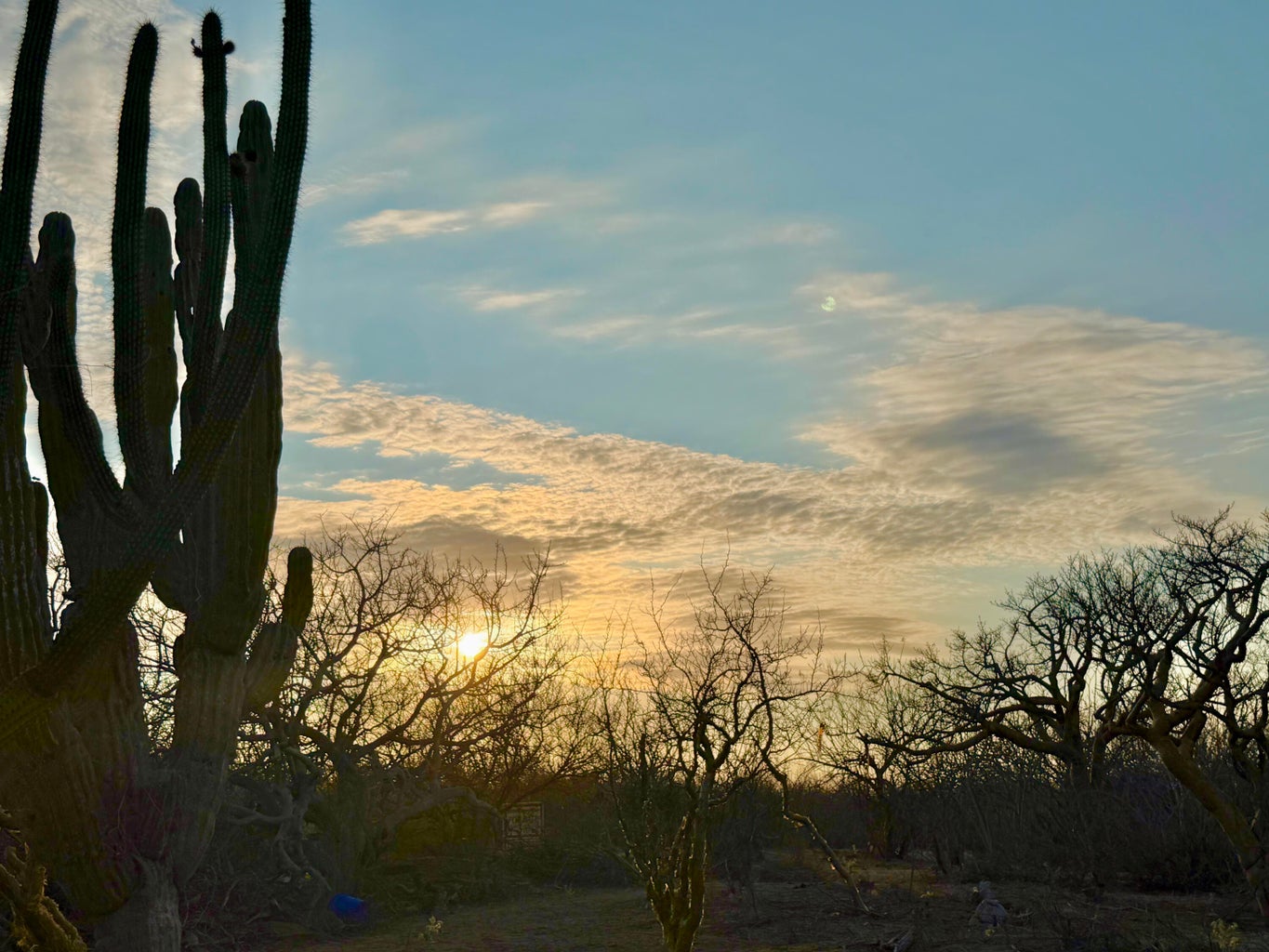 Lot in Baja Martires, East Cape, photo 5