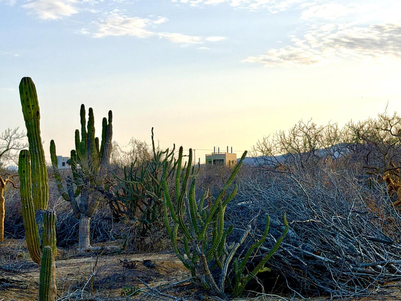 Lot in Baja Martires, East Cape, photo 4