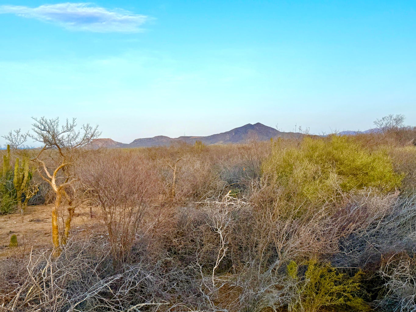 Lot in Baja Martires, East Cape, photo 3