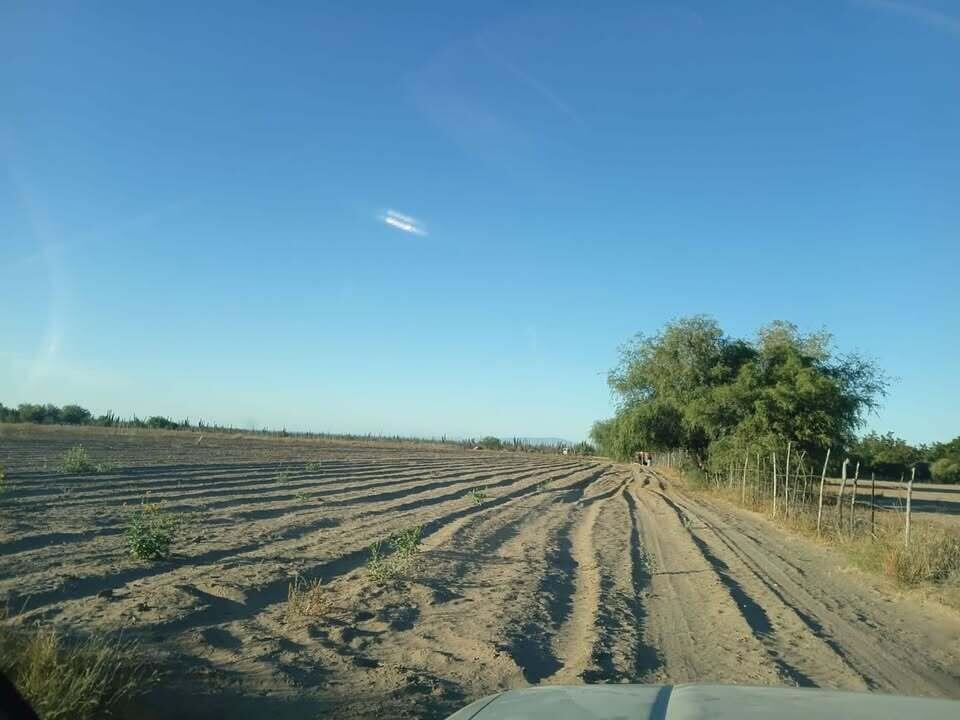 CALLE ACCESO, ALFREDO V BONFIL, Conquista Agraria NCPE, Pacific, photo 3