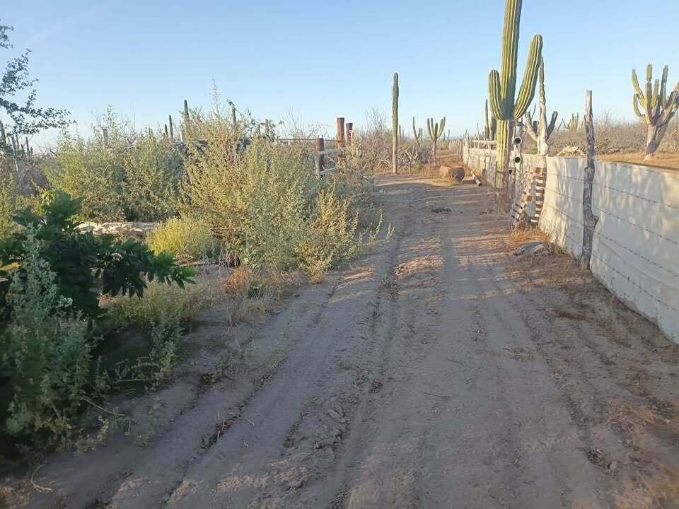 CALLE ACCESO, ALFREDO V BONFIL, Conquista Agraria NCPE, Pacific, photo 4
