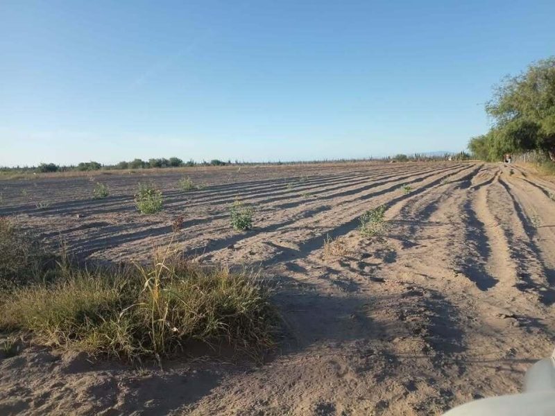 CALLE ACCESO, ALFREDO V BONFIL, Conquista Agraria NCPE, Pacific