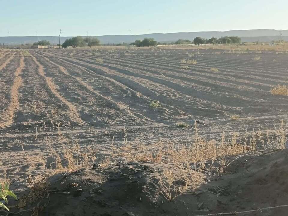 CALLE ACCESO, ALFREDO V BONFIL, Conquista Agraria NCPE, Pacific, photo 2