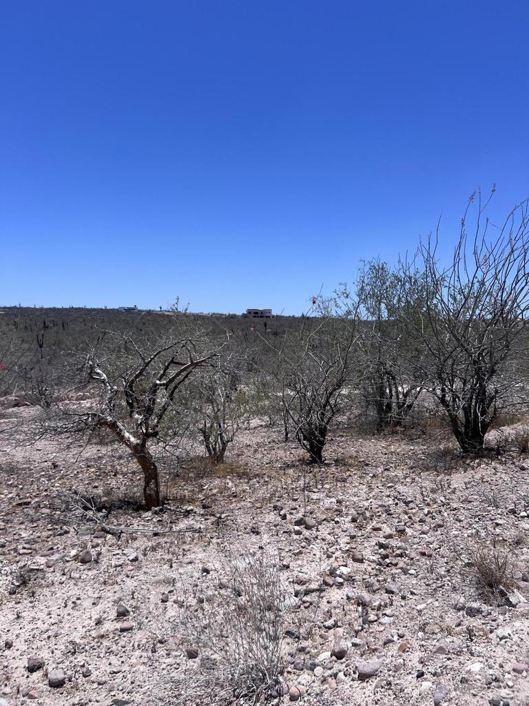 Lomas del Centenario, Lomas del Centenario, Palo Verde, La Paz, photo 4