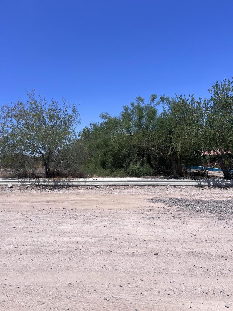 Lomas del Centenario, Lomas del Centenario, Palo Verde, La Paz, photo 2