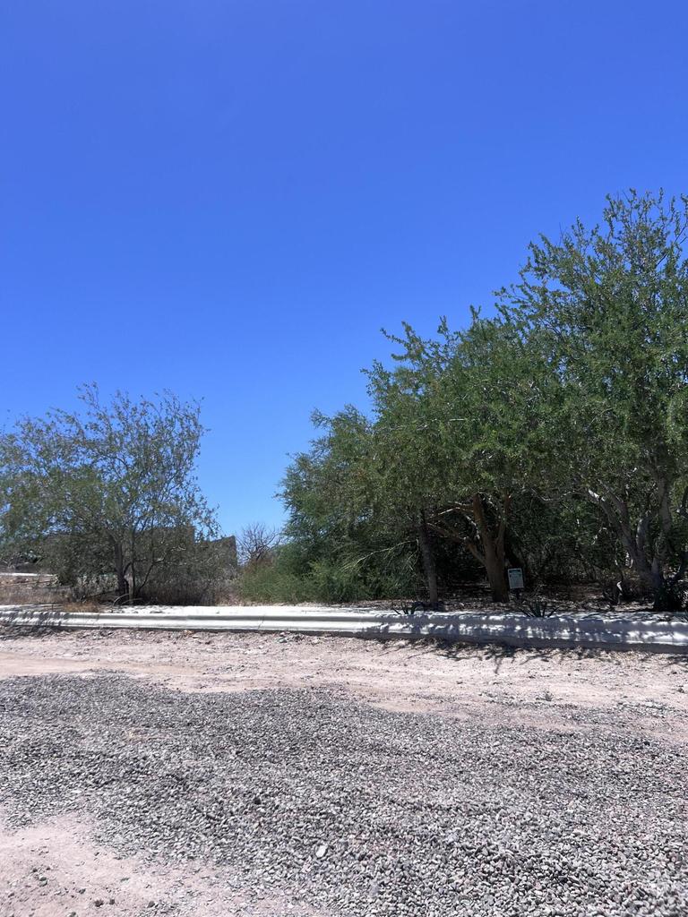 Lomas del Centenario, Lomas del Centenario, Palo Verde, La Paz, photo 5