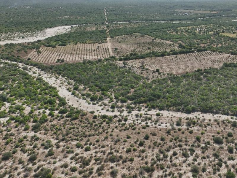 Lot in Santa Cruz, East Cape