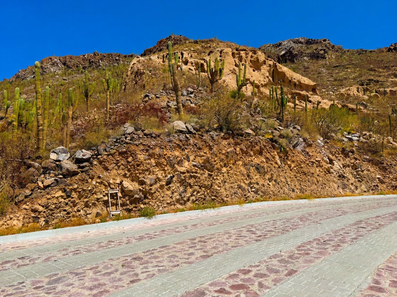 CAMINO DE LA GRAVA, Pedregal, La Paz, photo 5
