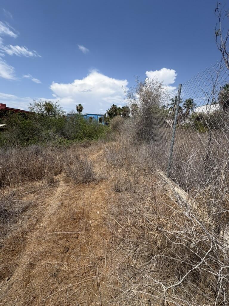 militar, Todos Santos-General, La Paz, photo 2
