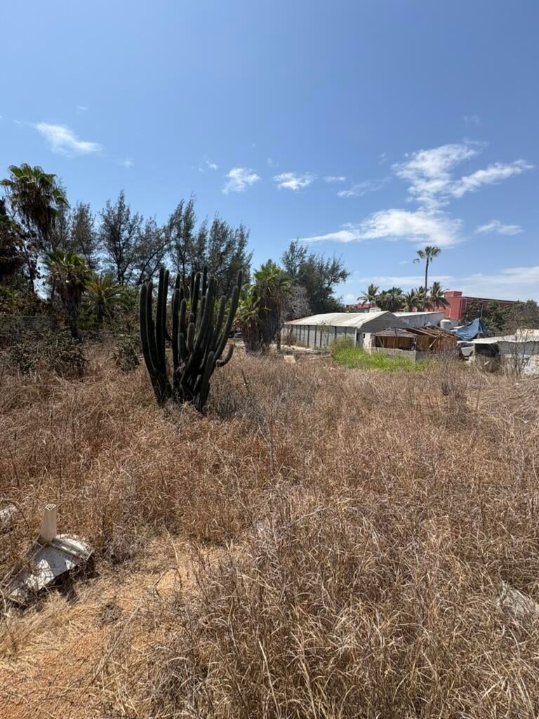 militar, Todos Santos-General, La Paz, photo 5
