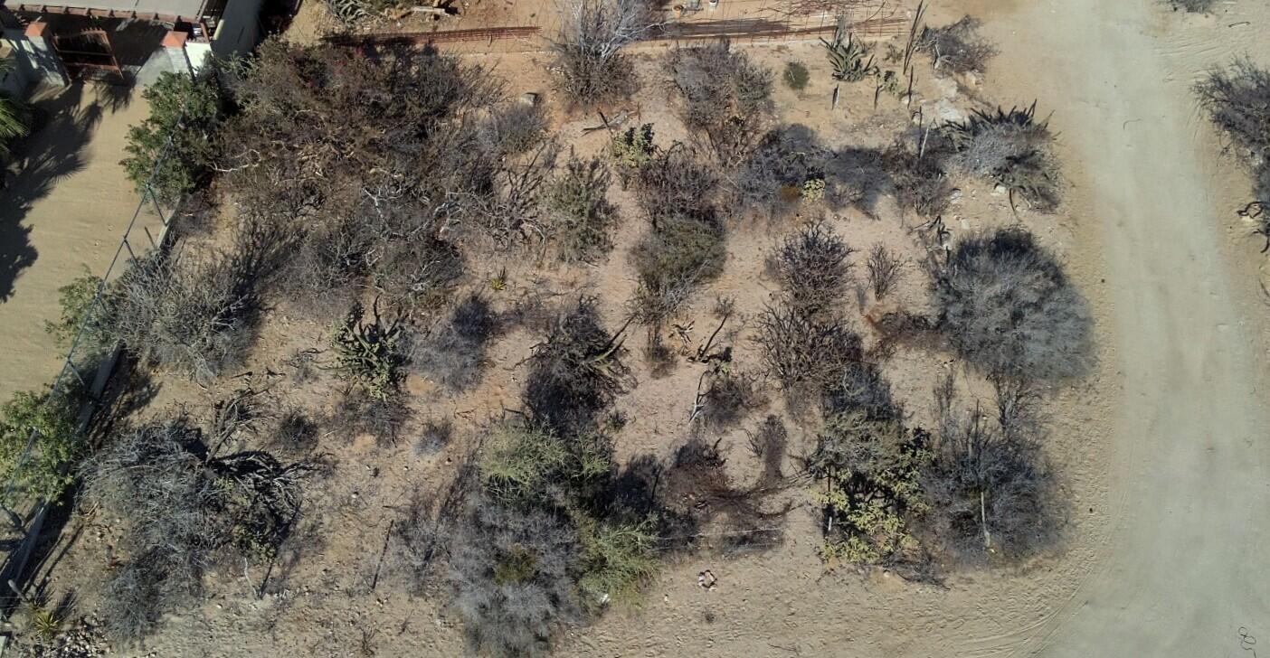 Lot in El Sargento, La Paz, photo 3