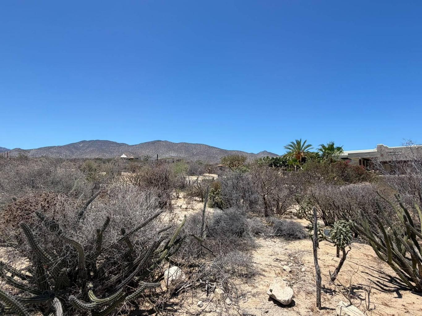 Lot in El Sargento, La Paz, photo 5