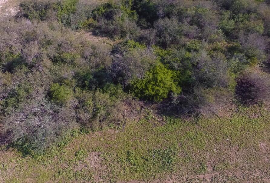39 Mza 2 Lote 39, Mira & Santi General, East Cape, photo 5