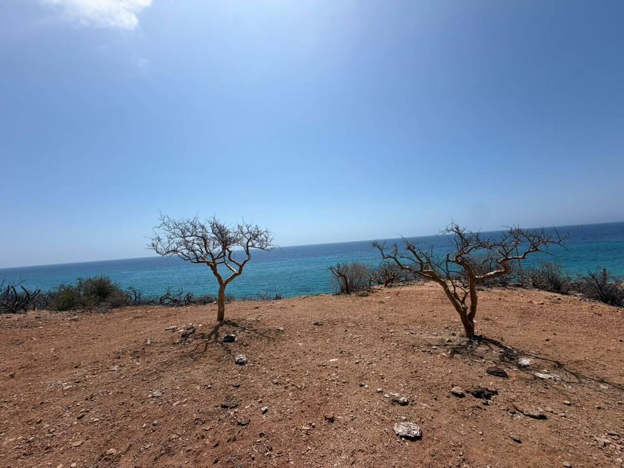 LOTE 2 OCEAN VIEW, Los Barriles, East Cape, photo 2