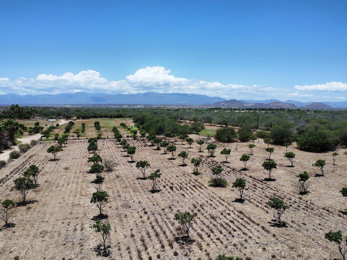 Lot in La Ribera, East Cape, photo 3