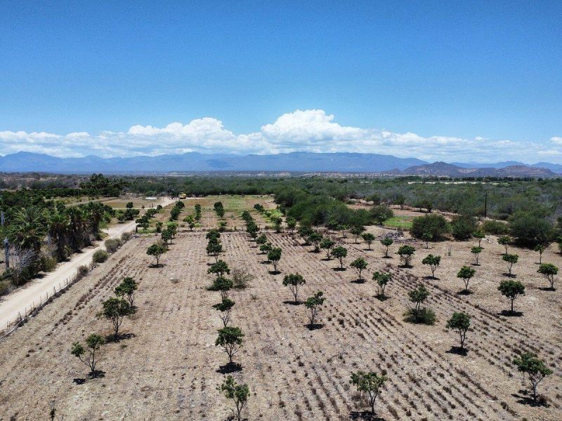 Lot in La Ribera, East Cape