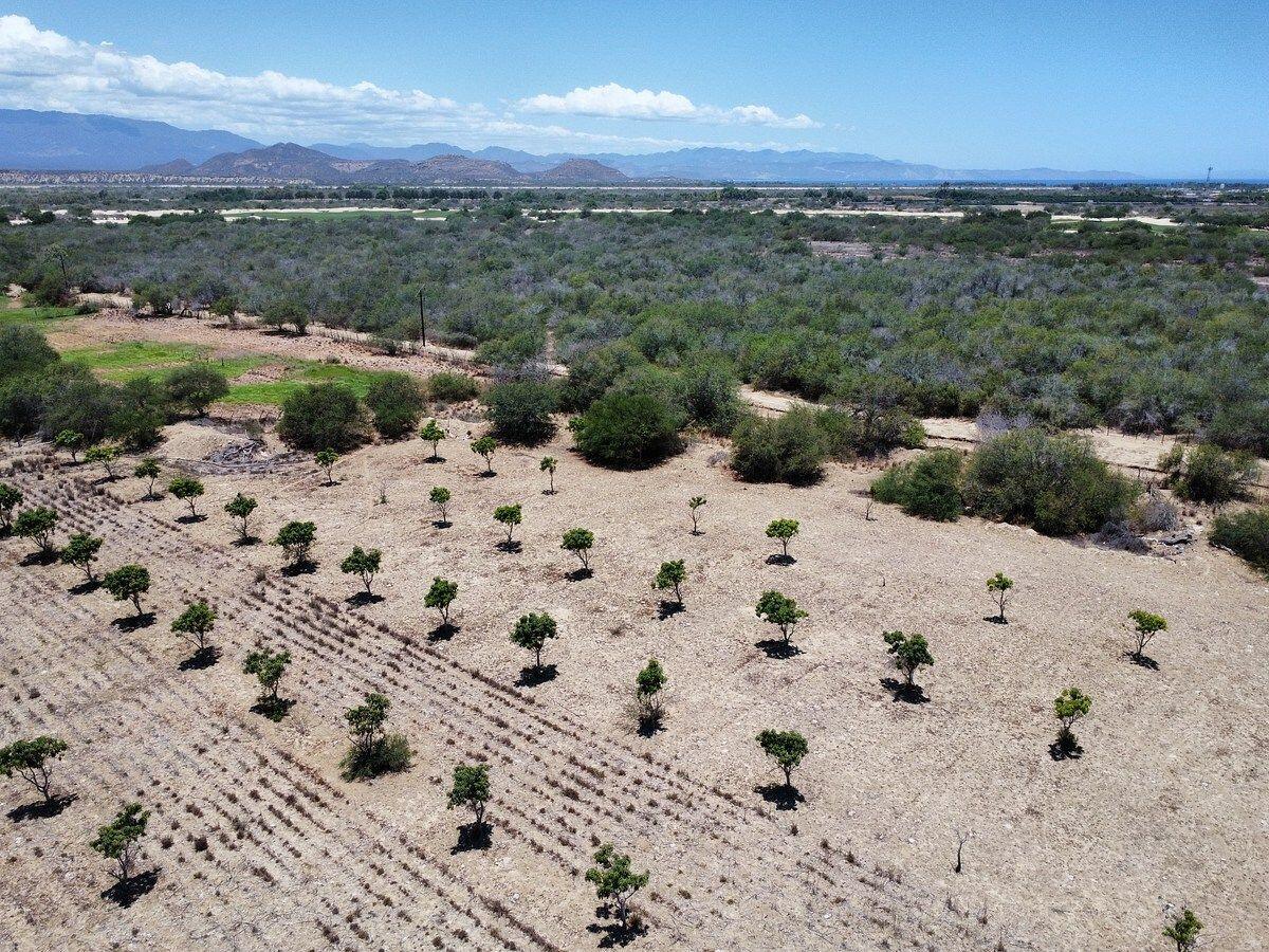 Lot in La Ribera, East Cape, photo 4