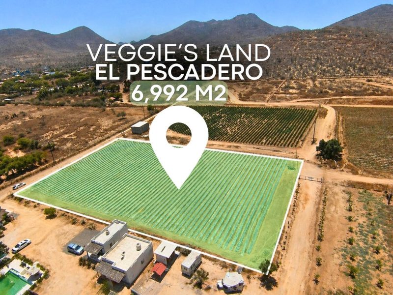 Lot in Pescadero, Pacific