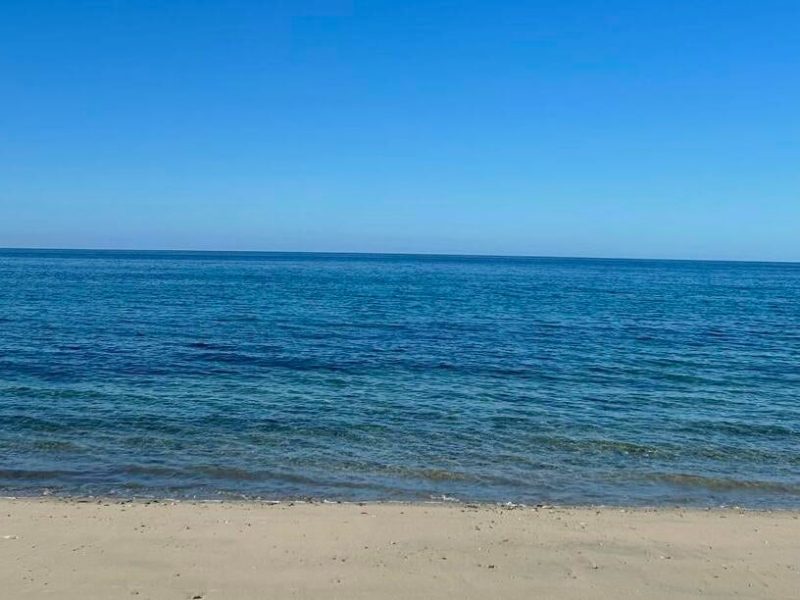 El Cardonal, East Cape