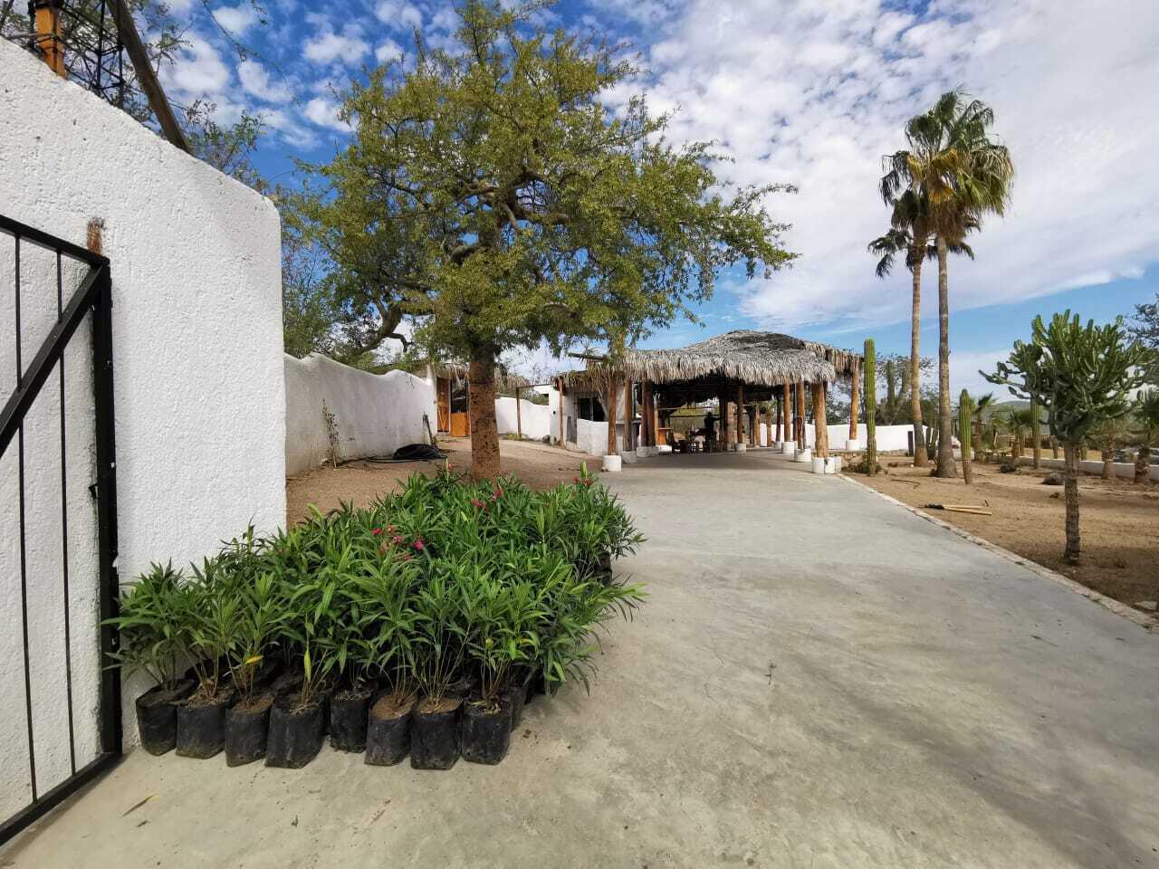 Brisas del P, Brisas del Pacifico W, Cabo San Lucas, photo 2