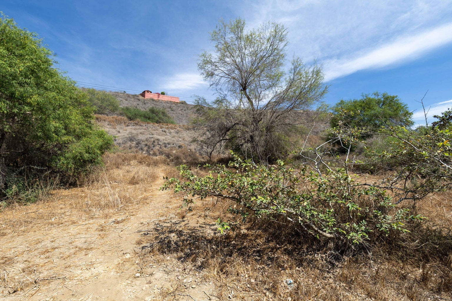 Lot in Centro-Todos Santos, Pacific, photo 3