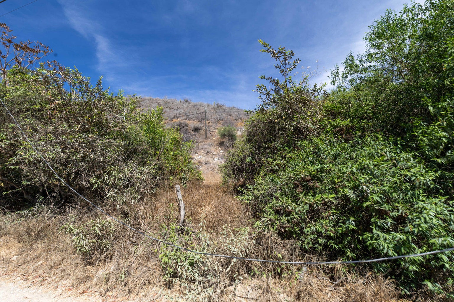 Lot in Centro-Todos Santos, Pacific, photo 4