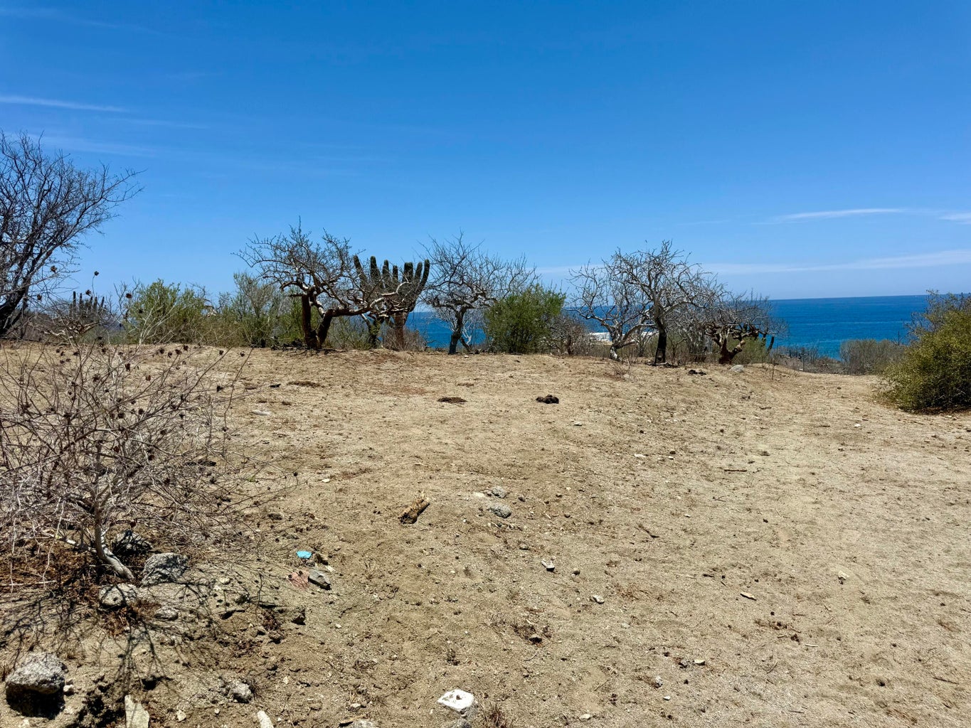 Lot in Costa de Oro, East Cape, photo 3