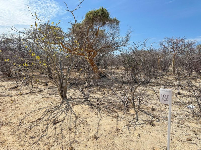 Lot in Candelilla, East Cape