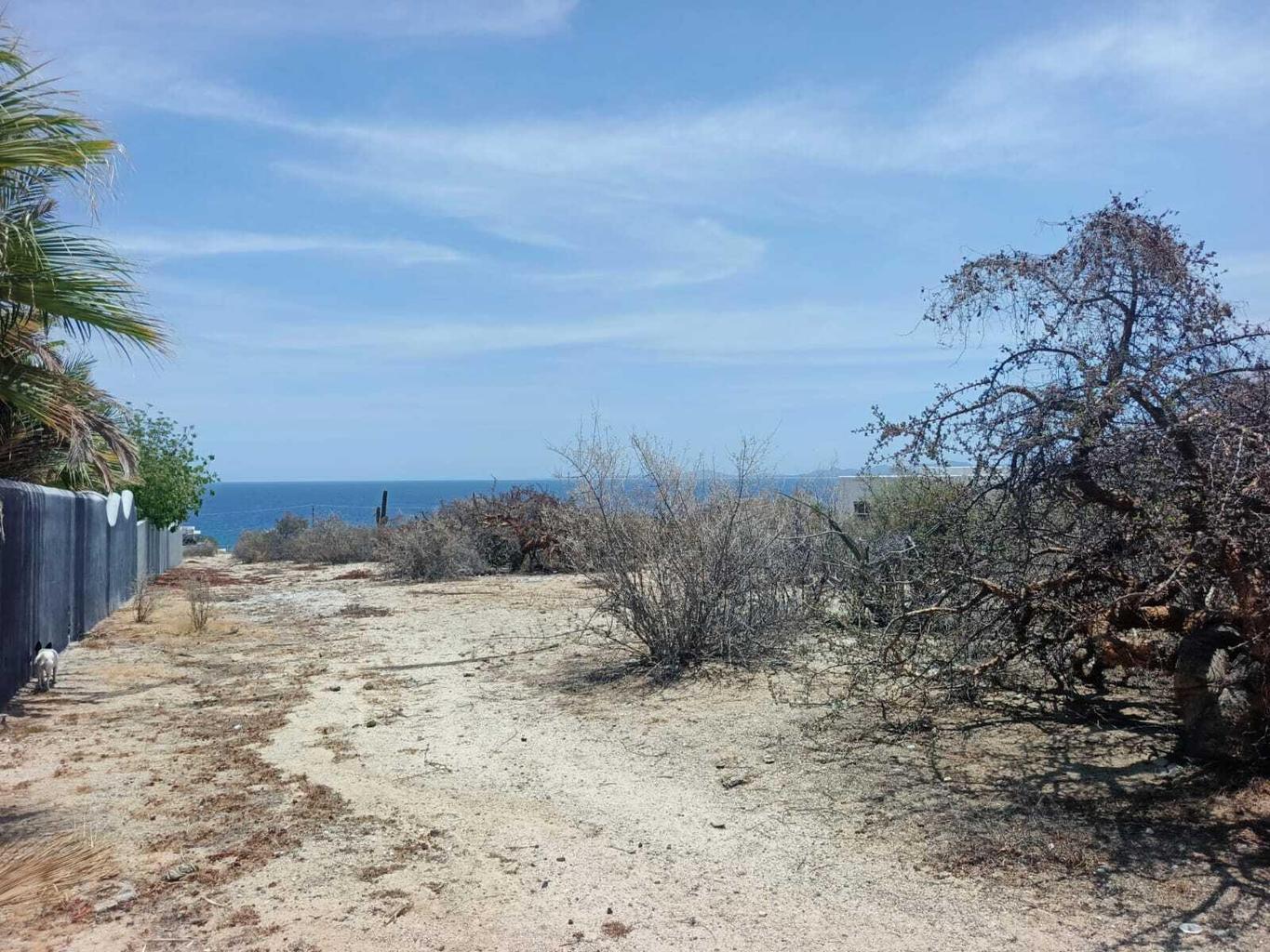 Lot in El Sargento, La Paz, photo 3
