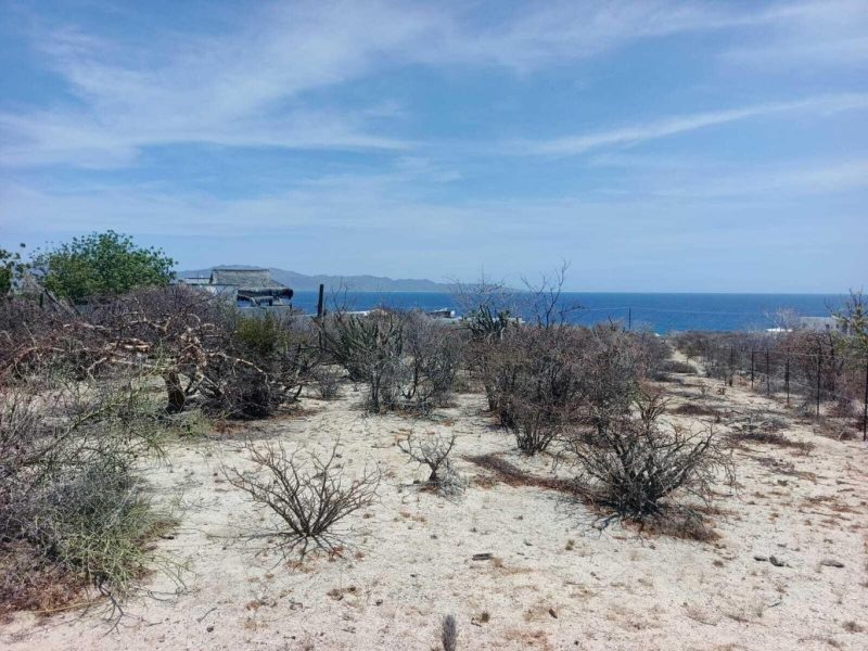 Lot in El Sargento, La Paz