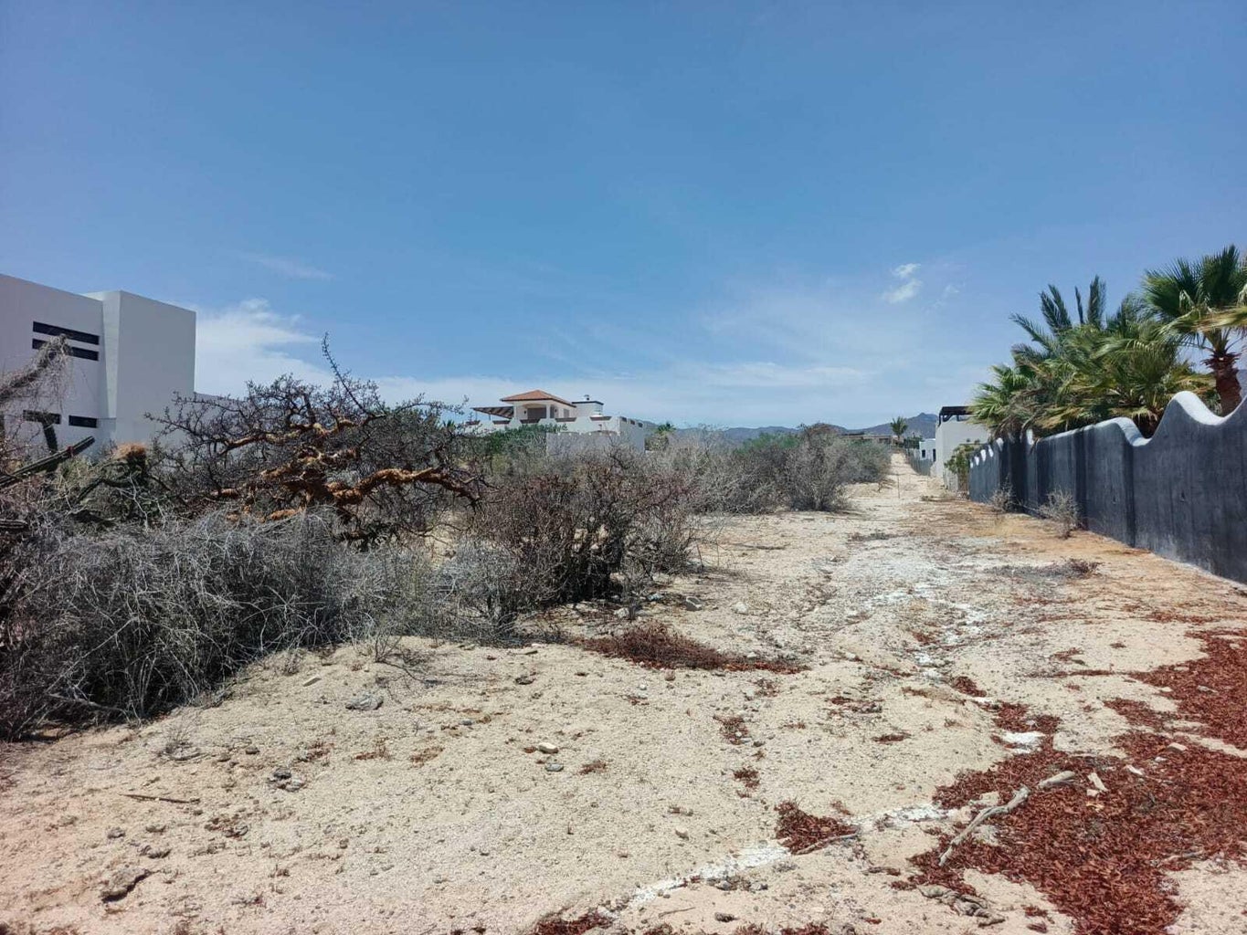 Lot in El Sargento, La Paz, photo 4