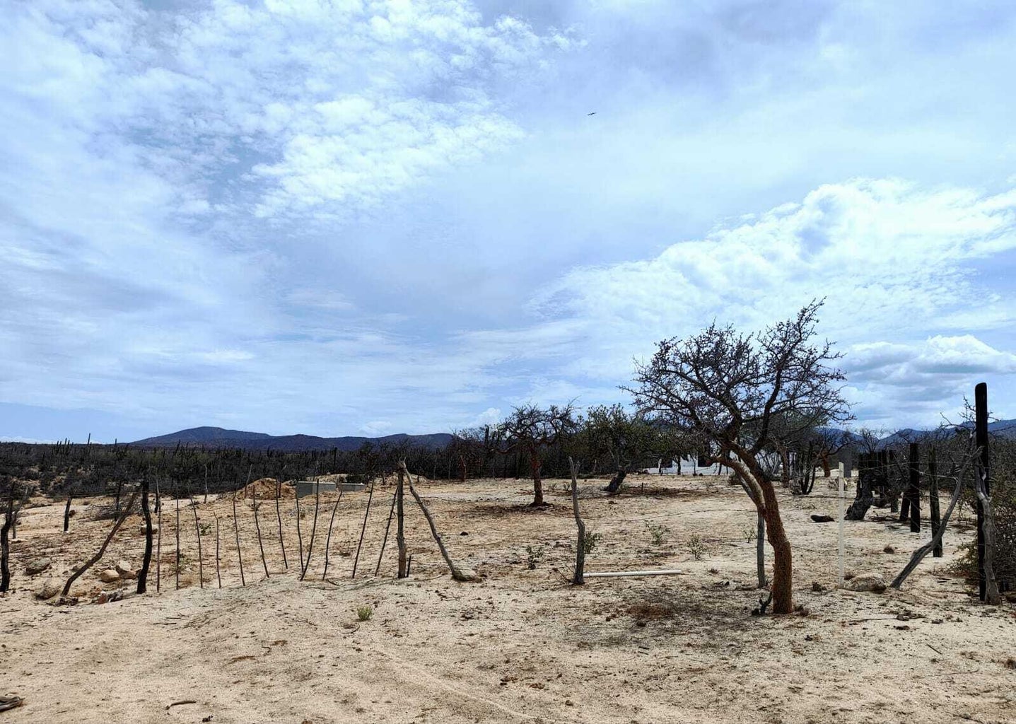 Lot in Boca del Alamo, East Cape, photo 2