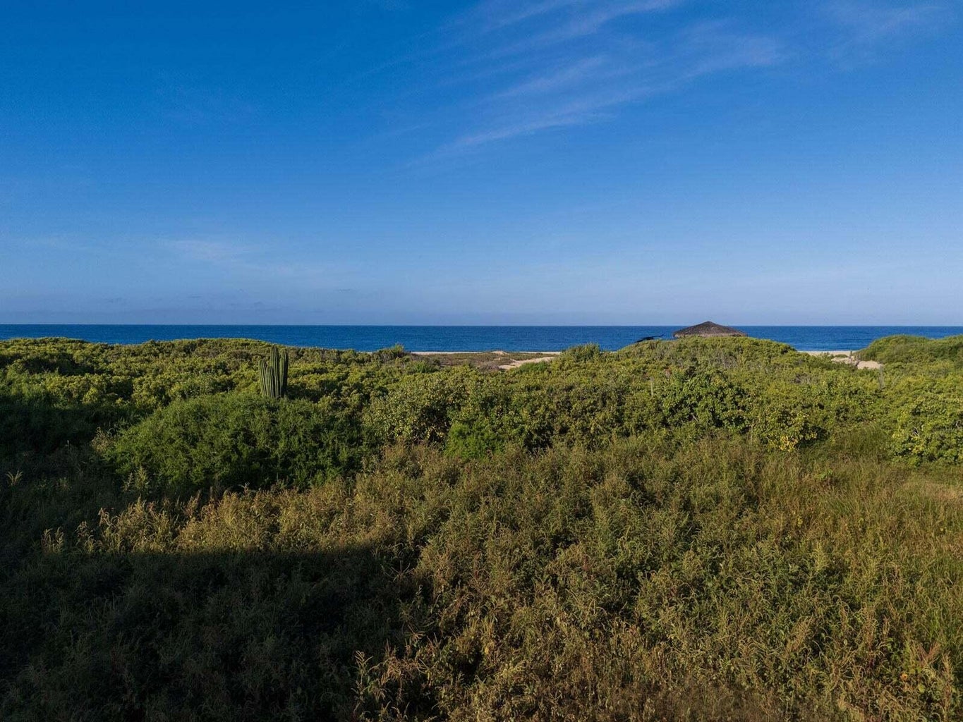 Lot in Pescadero, Pacific, photo 4