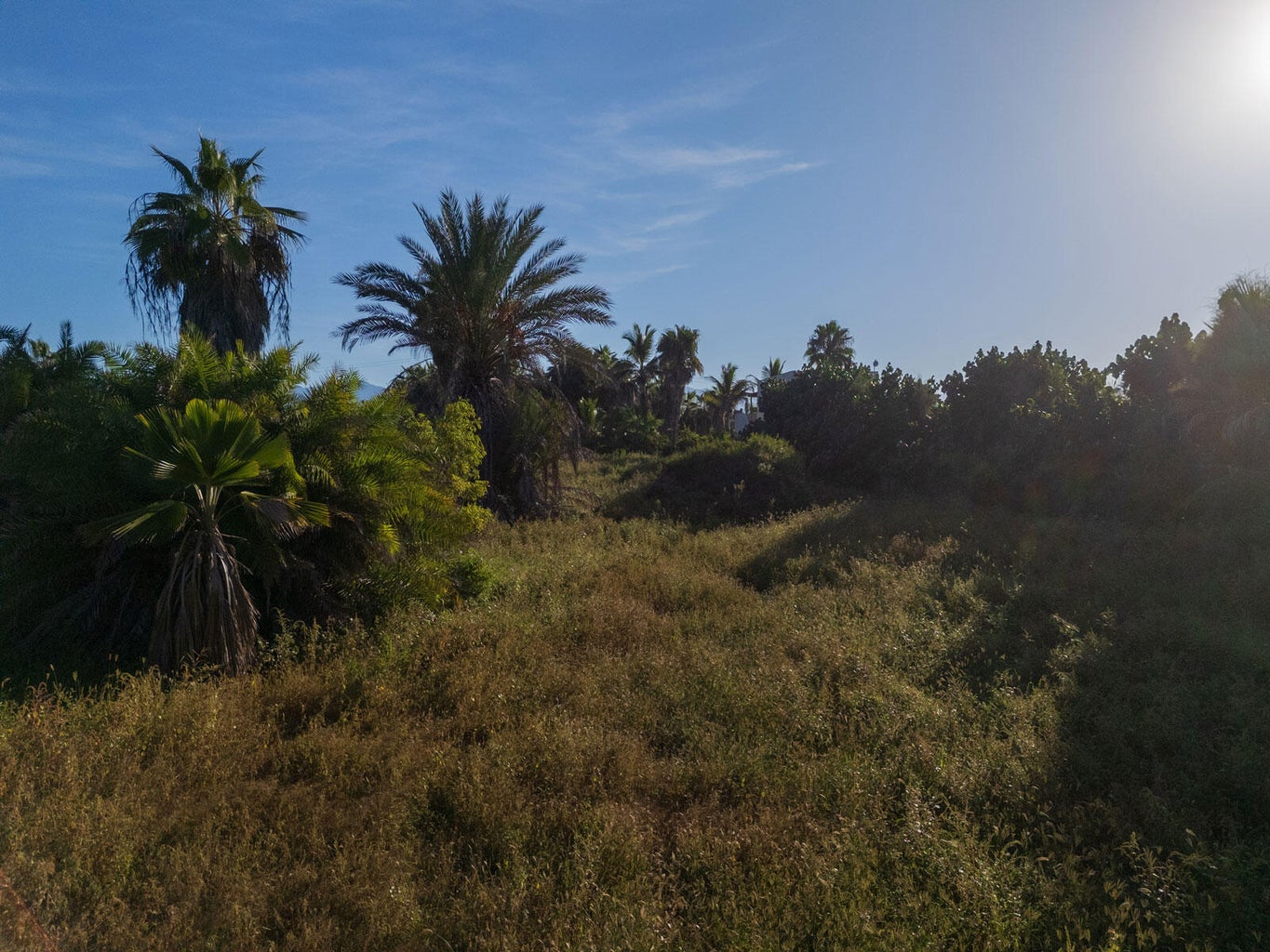 Lot in Pescadero, Pacific, photo 5