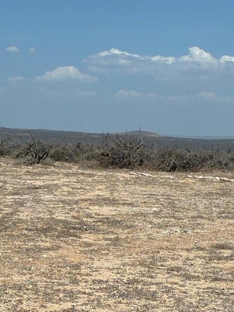 Lote 11 Mar De Cortez, Playas Pacificas, La Paz, photo 5