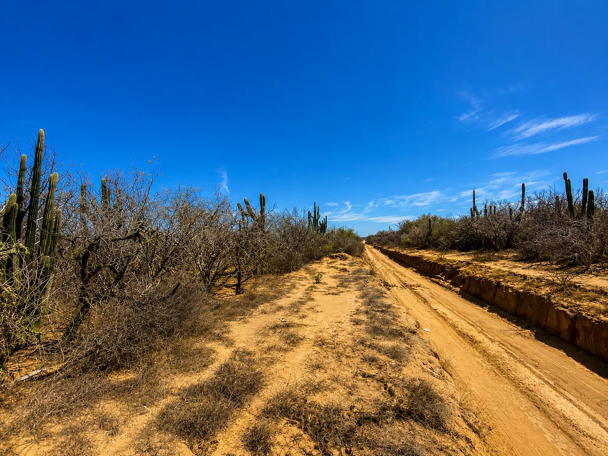 S/N s/n, Todos Santos-General, La Paz, photo 2